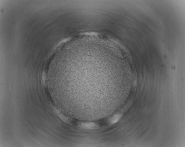 X0000083580669200702231657