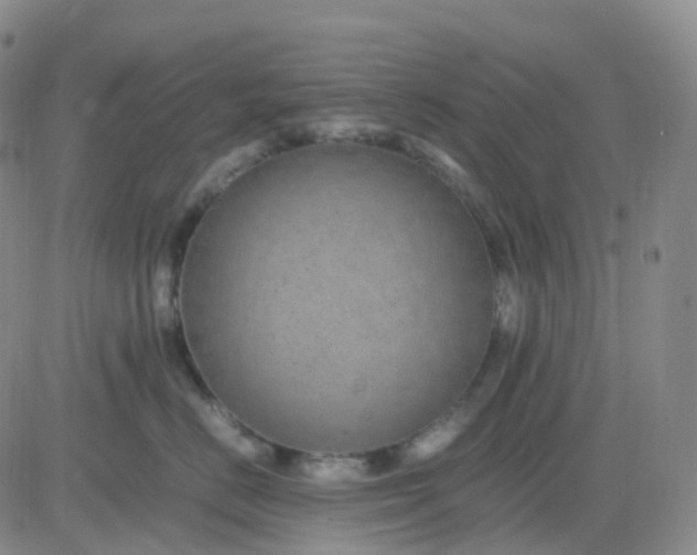 X0000083580670200702231657