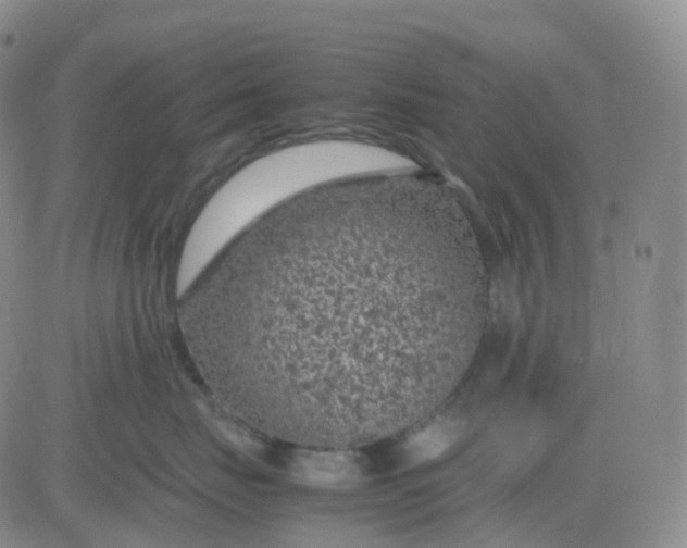 X0000083580671200702231657