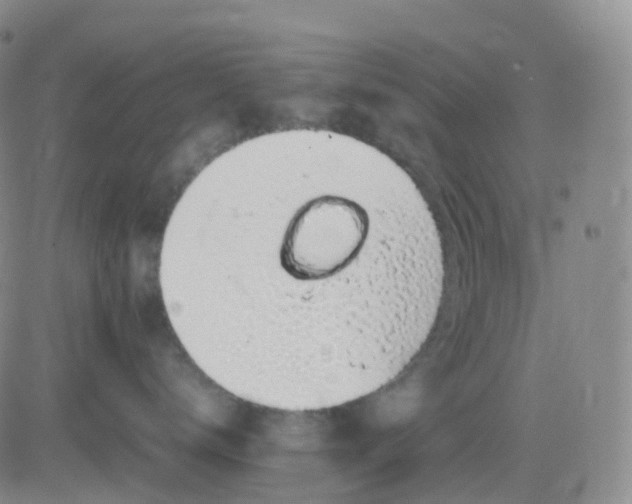 X0000083580672200702231657