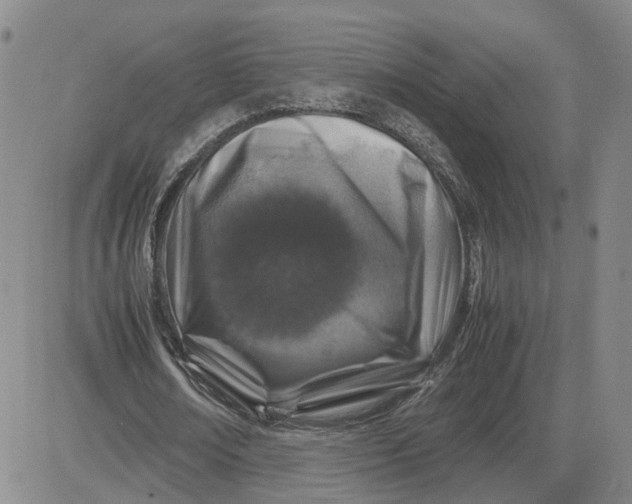 X0000083580674200702231656