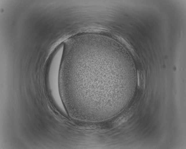 X0000083580675200702231656