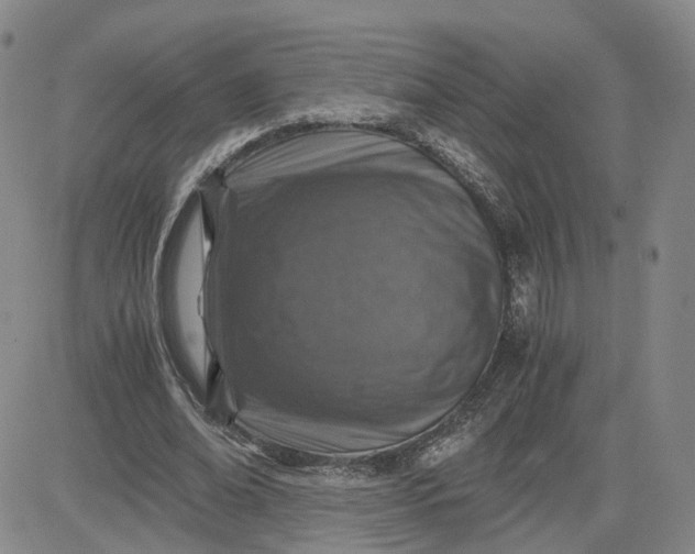 X0000083580678200702231656