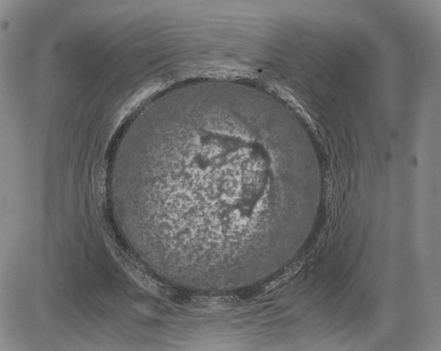 X0000083580679200702231656