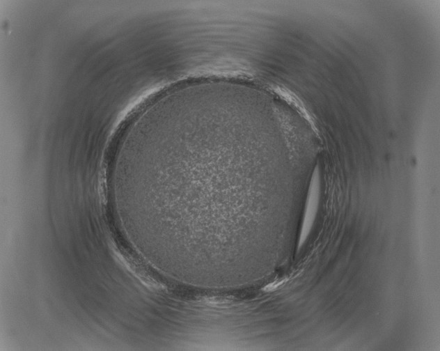 X0000083580680200702231656