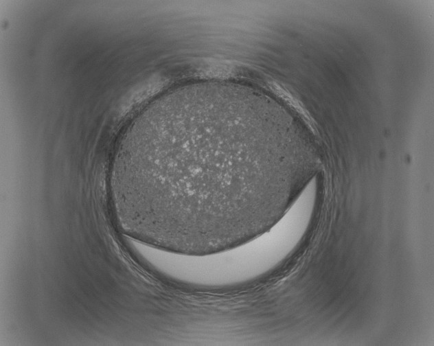 X0000083580681200702231656