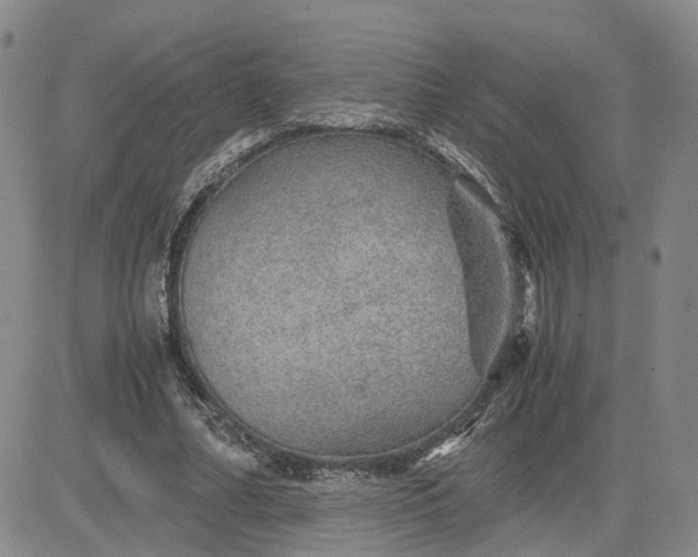 X0000083580682200702231656