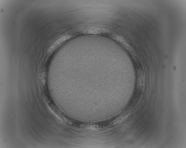 X0000083580683200702231656