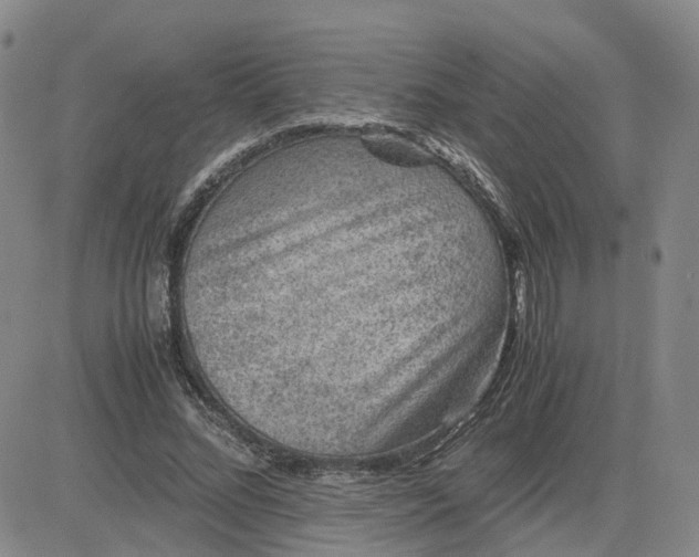 X0000083580684200702231656