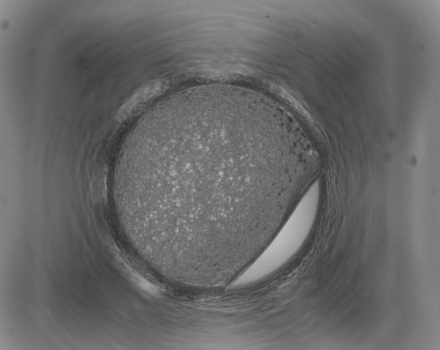 X0000083580685200702231656