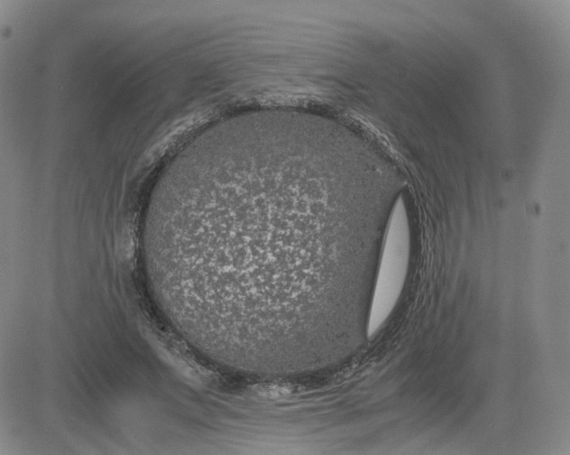 X0000083580687200702231656