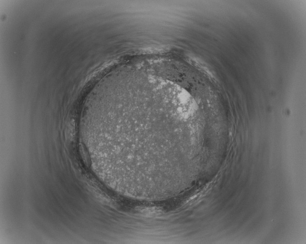 X0000083580689200702231656