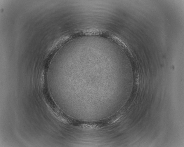 X0000083580690200702231656