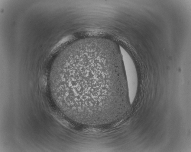 X0000083580691200702231655