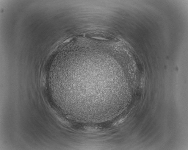 X0000083580693200702231655