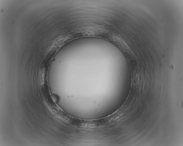 X0000083580694200702231655