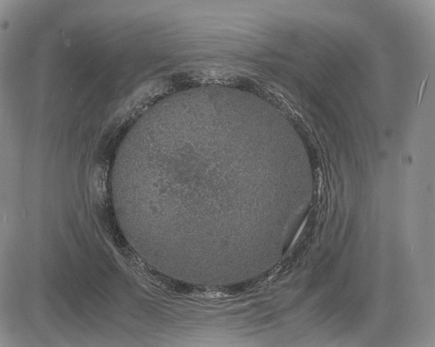 X0000083580695200702231655