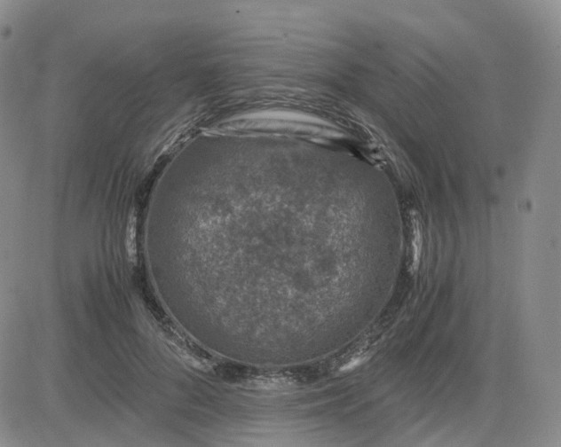 X0000083580696200702231655