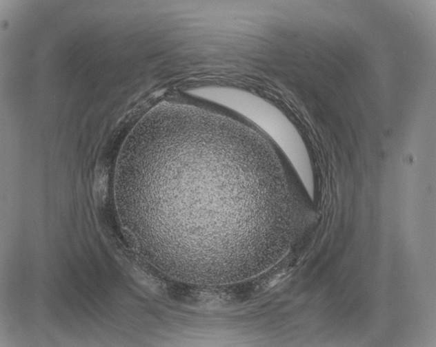 X0000083580697200702231655