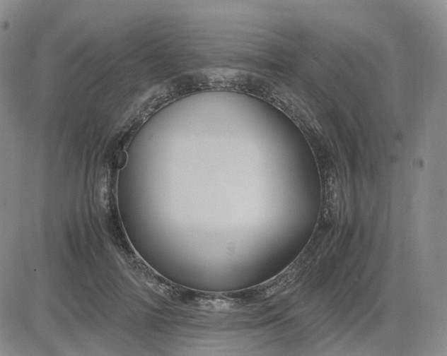 X0000083580698200702231655