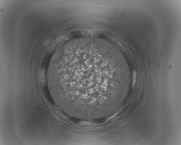 X0000083580699200702231655