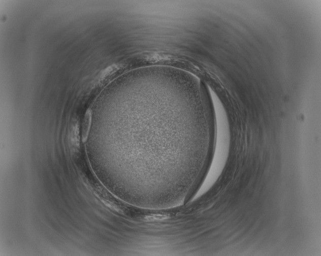 X0000083580700200702231655