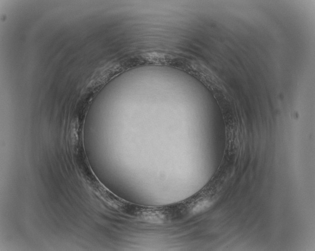 X0000083580702200702231655