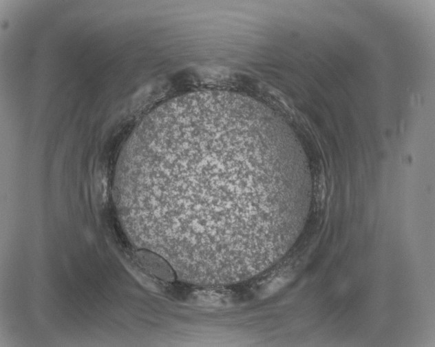 X0000083580703200702231655