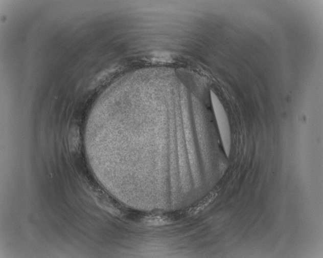 X0000083580704200702231655