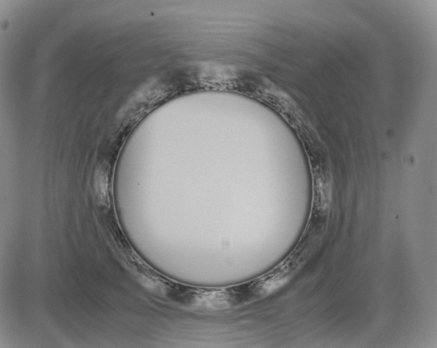 X0000083580705200702231655