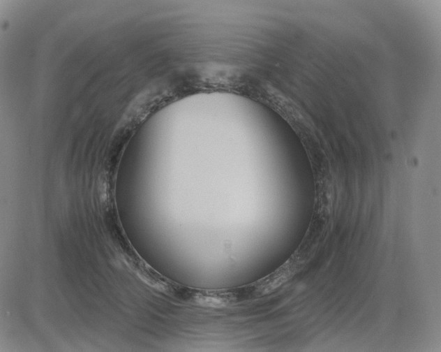 X0000083580706200702231655