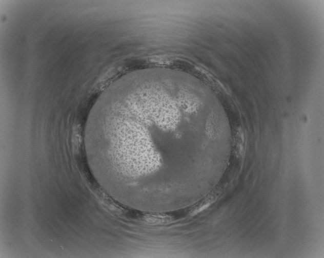 X0000083580707200702231655