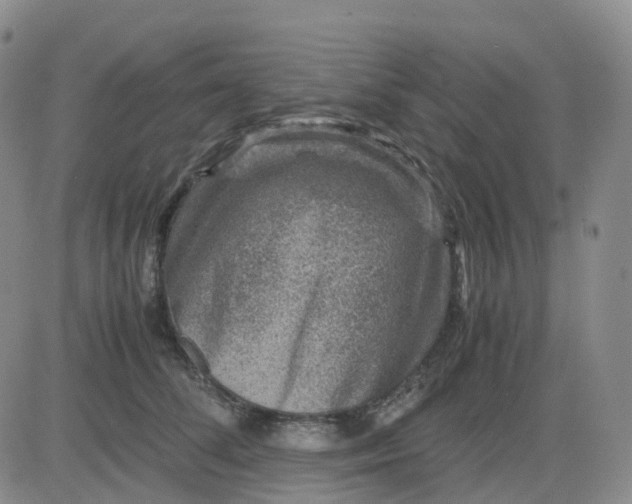 X0000083580708200702231655