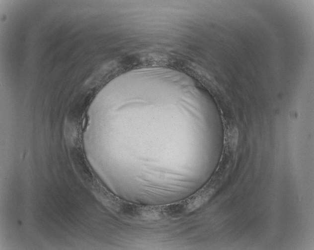 X0000083580709200702231655