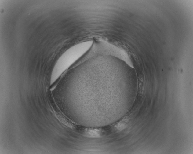 X0000083580710200702231655