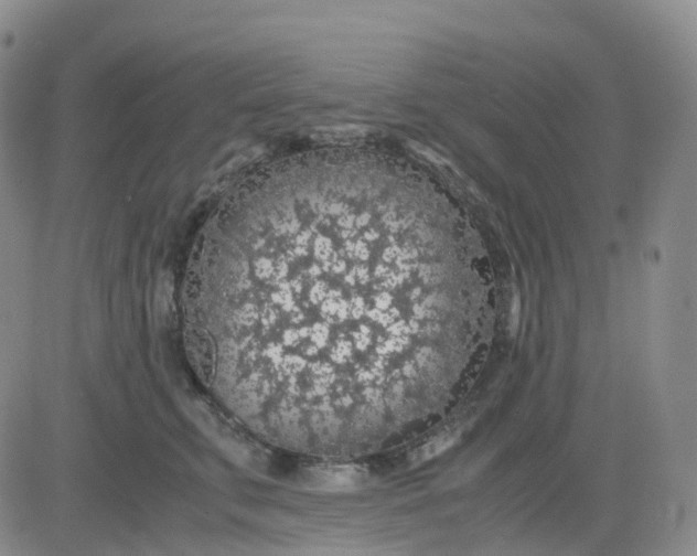 X0000083580711200702231655