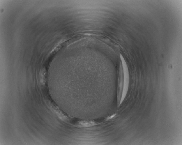 X0000083580712200702231655