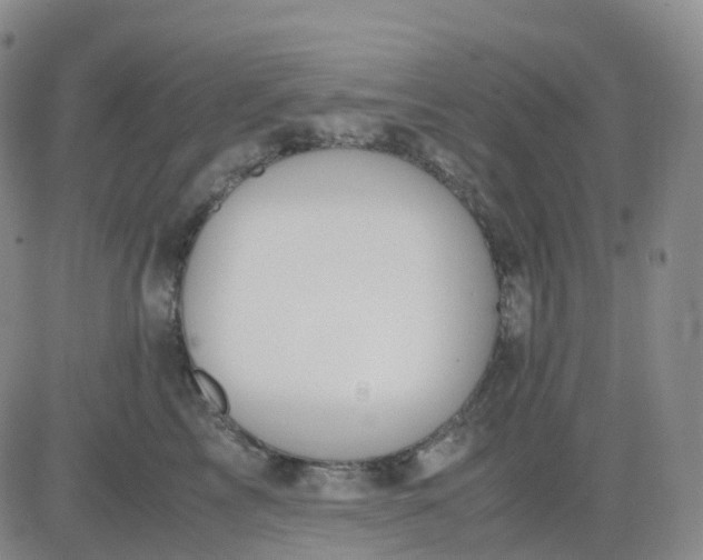 X0000083580713200702231655