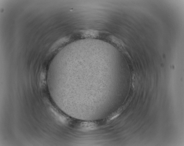 X0000083580714200702231655