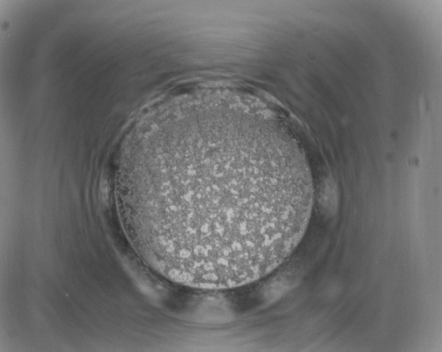 X0000083580715200702231655