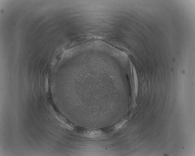 X0000083580716200702231655