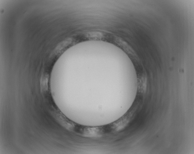 X0000083580717200702231655