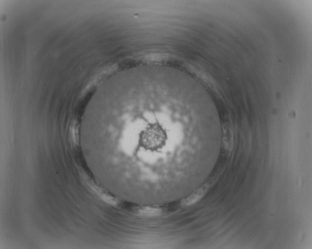 X0000083580718200702231655