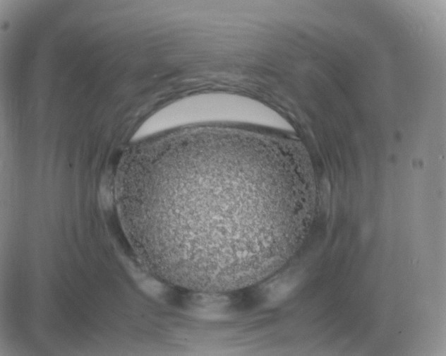 X0000083580719200702231655