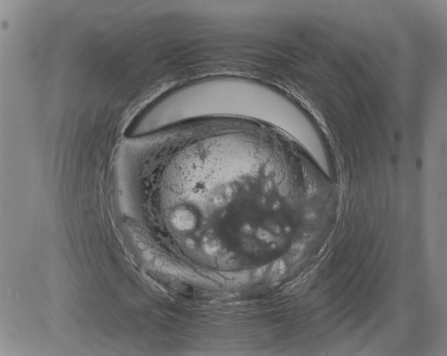 X0000083580721200702231654