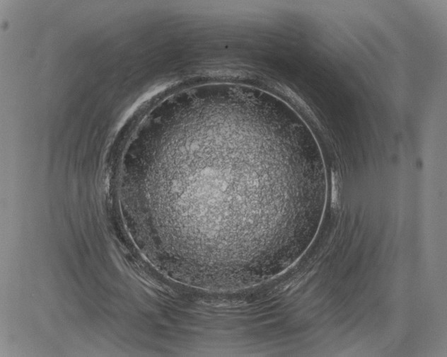 X0000083580723200702231654