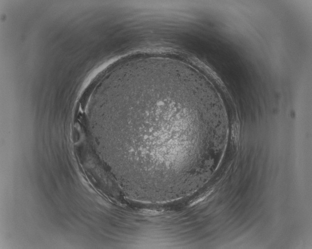 X0000083580724200702231654