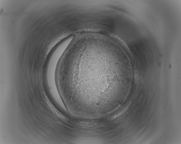 X0000083580725200702231654