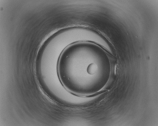 X0000083580726200702231654