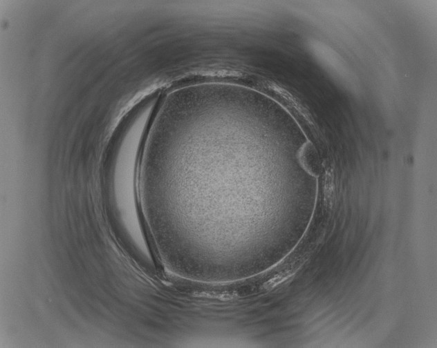 X0000083580727200702231654